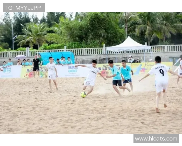 上海足球队在挑战赛中的团队协作表现分析与点评