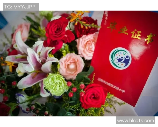 与刘丽畅谈篮球生涯的点滴与成长之路