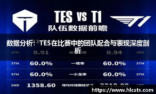 数据分析：TES在比赛中的团队配合与表现深度剖析