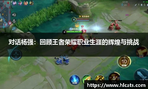 对话杨强：回顾王者荣耀职业生涯的辉煌与挑战