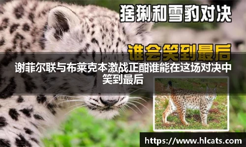 必威betway平台